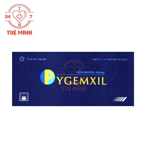 Pygemxil 600mg Pymepharco - Thuốc điều trị tăng lipid huyết