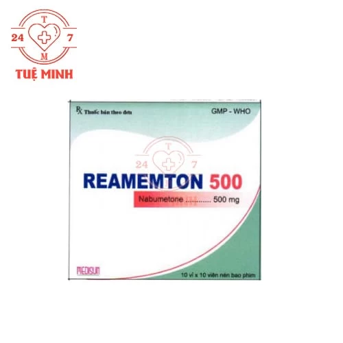 Reamemton 500