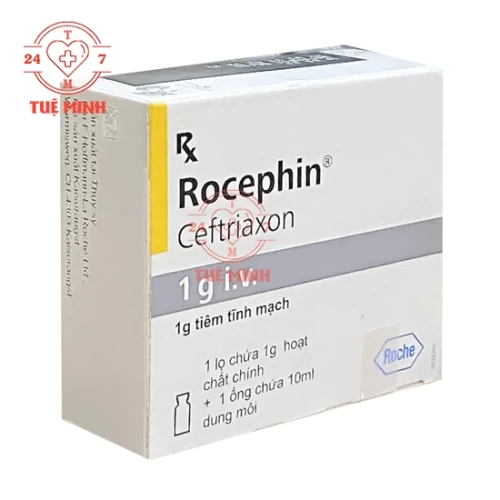 Rocephin iv 1g