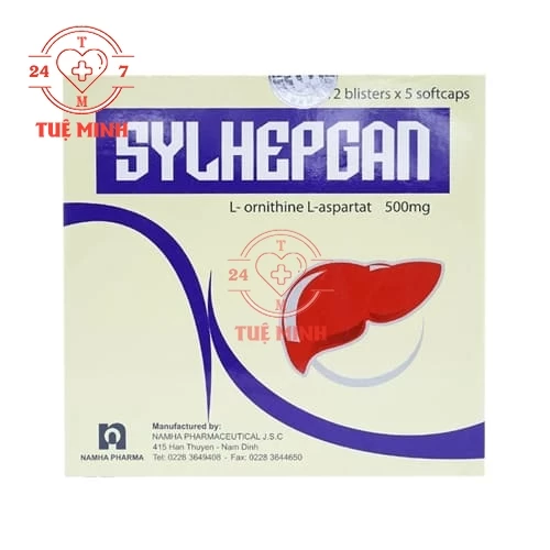 Sylhepgan