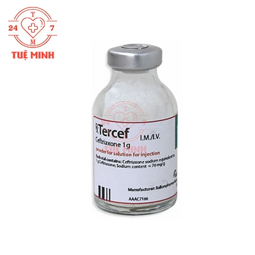 Tercef 1g Balkanpharma - Thuốc điều trị nhiễm khuẩn hiệu quả