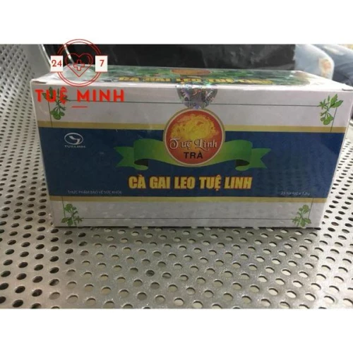 Trà cà gai leo tuệ linh (túi lọc)
