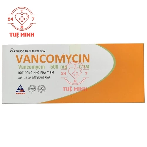 Vancomycin 500mg