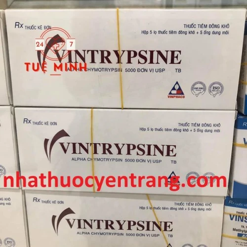 Vintrypsine 5000 iu