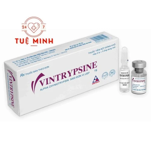 Vintrypsine tiêm