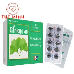 GINKGO 40 USP - Hỗ trợ tăng cường tuần hoàn não hiệu quả