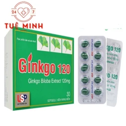 GINKGO 120 USP - Hỗ trợ tăng cường tuần hoàn não hiệu quả