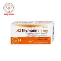 A.t silymarin 117mg