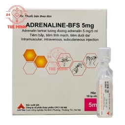 Adrenaline-BFS 5mg/5ml CPC1HN - Thuốc hồi sức tim phổi