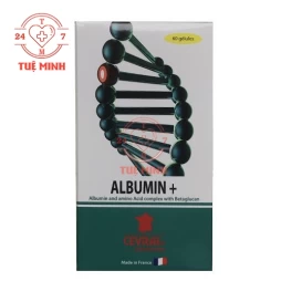 Albumin +