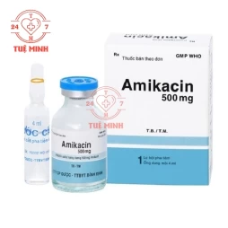 Amikacin 500mg Bidiphar - Thuốc điều trị nhiễm khuẩn
