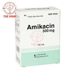 Amikacin 500mg Bidiphar - Thuốc điều trị nhiễm khuẩn