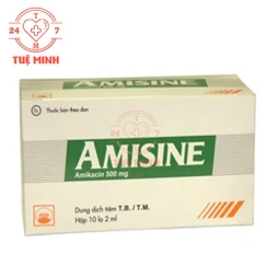 Amisine 500mg Pymepharco - Thuốc tiêm điều trị nhiễm khuẩn của Pymepharco 
