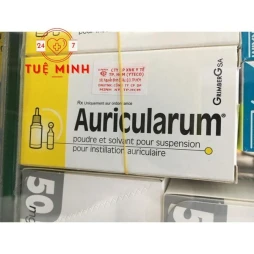 Auricularum