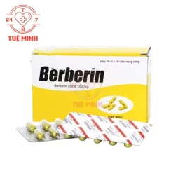 Berberin 100mg Armephaco - Thuốc điều trị tiêu chảy