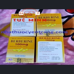 Berberine 100mg