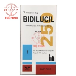 Bidilucil 250mg tiêm