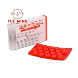 Biseptol 480mg