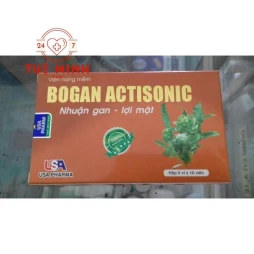 Bogan actisonic