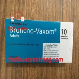 Broncho vaxom người lớn