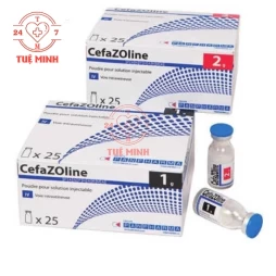 Cefazoline panpharma 1g