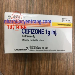 Cefizone 1g