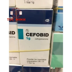 Cefobid 1g