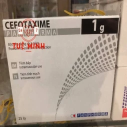 Cefotaxime panpharma 1g