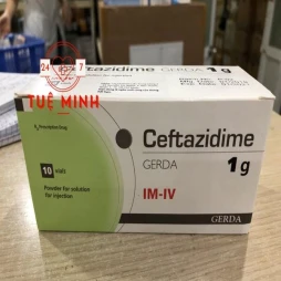 Ceftazidime 1g gerda