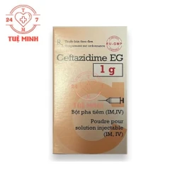 Ceftazidime EG 1g Pymepharco - Thuốc điều trị nhiễm khuẩn