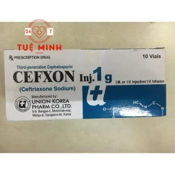 Cefxon 1g