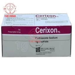 Cerixon - Thuốc kháng sinh điều trị nhiễm khuẩn hiệu quả của Hàn Quốc
