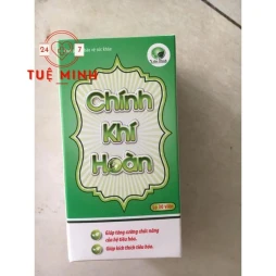 Chính khí hoàn
