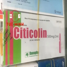 Citicolin 500mg/2ml danapha