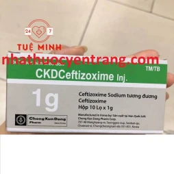 Ckd ceftizoxime 1g