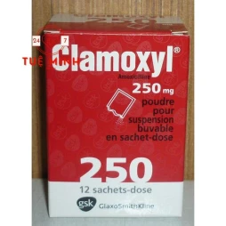 Clamoxyl 250mg