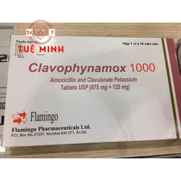 Clavophynamox 1000mg