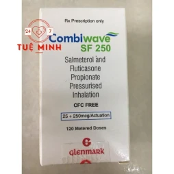 Combiwave sf 250