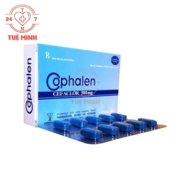 Cophalen 500mg Armephaco - Thuốc điều trị nhiễm khuẩn