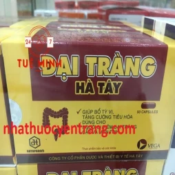 Đại tràng hà tây