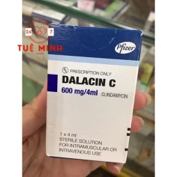 Dalacin c 600mg/4ml