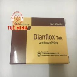 Dianflox 500mg