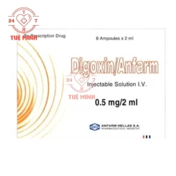 Digoxin/Anfarm 0.5mg/2ml -Thuốc điều trị suy tim hiệu quả