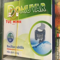 Domuvar (10 ống)