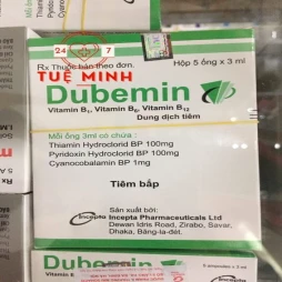 Dubemin