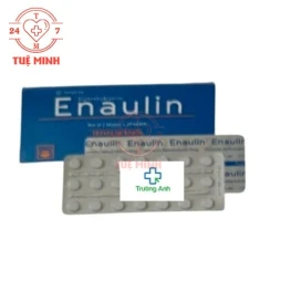 Enaulin 90mg Pymepharco - Thuốc phòng ngừa và điều trị say tàu xe