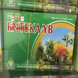 Enteka - yb