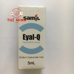 Eyal - q