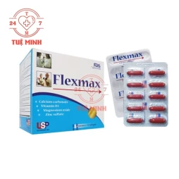 Flexmax USP - Hỗ trợ bảo vệ sức khỏe xương khớp hiệu quả
