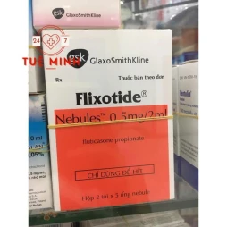 Flixotide nebules 0.5mg/2ml